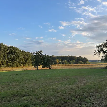 Schoene Maisonette-wohnung In Ruhiger Lage * Oer-Erkenschwick