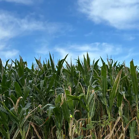 Schoene Maisonette-wohnung In Ruhiger Lage *